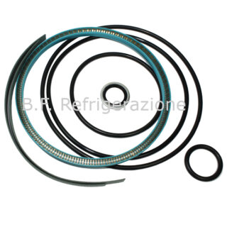 CAPACITY REGULATION GASKET FOR COMPRESSOR SAB163 MK4