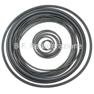 O-RING KIT PER COMPRESSORE SAB/SGC 193